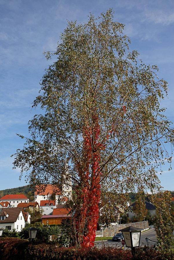 Krumbacherhof Otel Krumbach  Oda fotoğraf