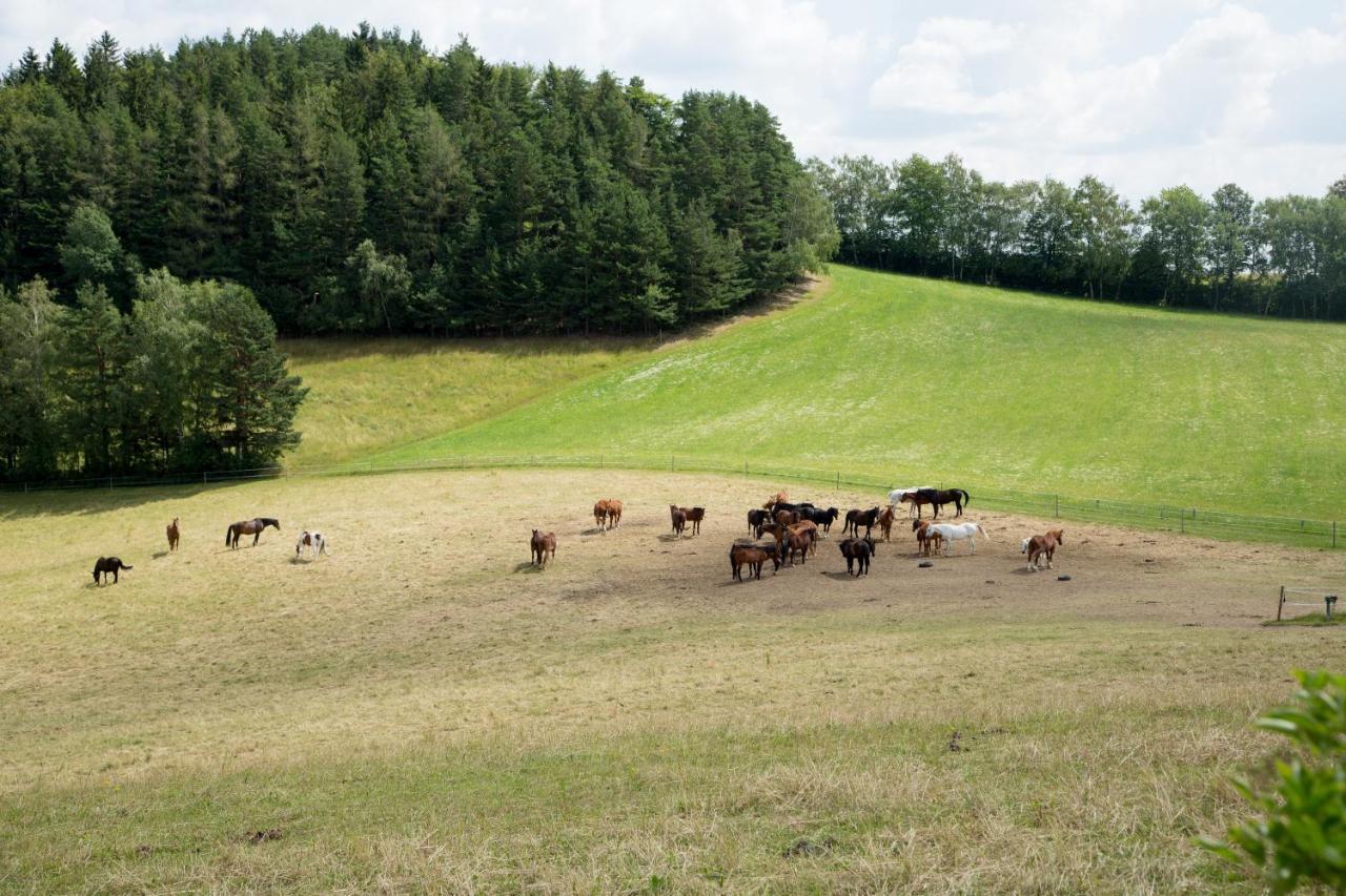 Krumbacherhof Otel Krumbach  Dış mekan fotoğraf